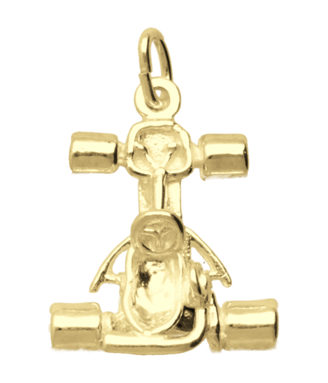 Gouden Kartauto ketting hanger