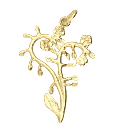 Gouden Vergeet mij nietje ketting hanger