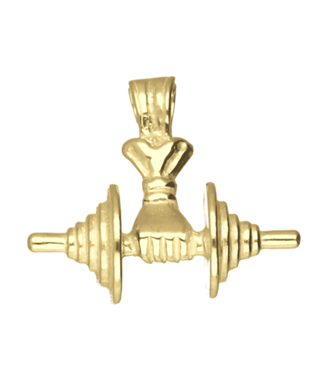 Gouden Halter met vuist ketting hanger