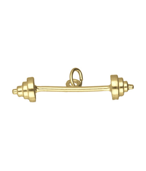 Gouden Halter groot ketting hanger