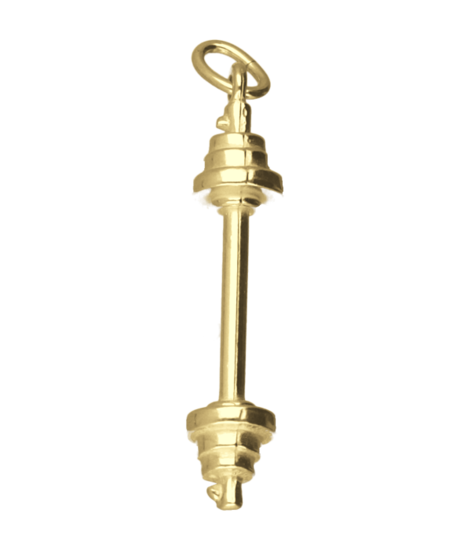 Gouden Halter middel ketting hanger