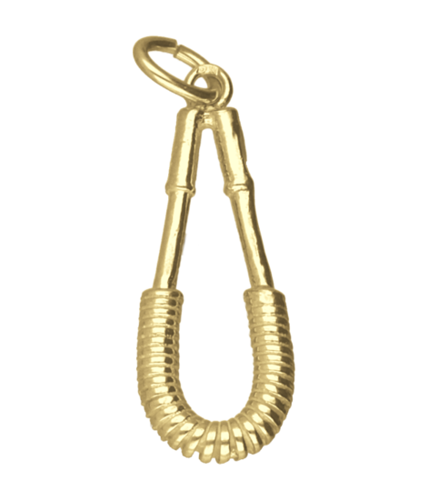 Gouden Krachtveer ketting hanger