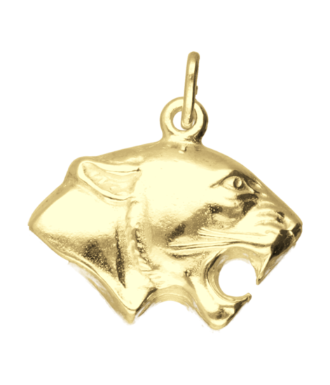 Gouden Panter kop ketting hanger