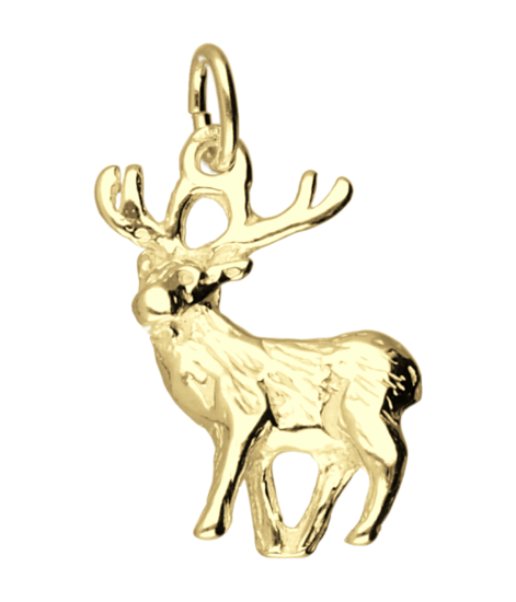 Gouden Hert ketting hanger