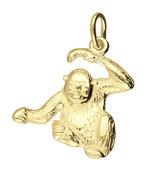 Gouden Aap ketting hanger
