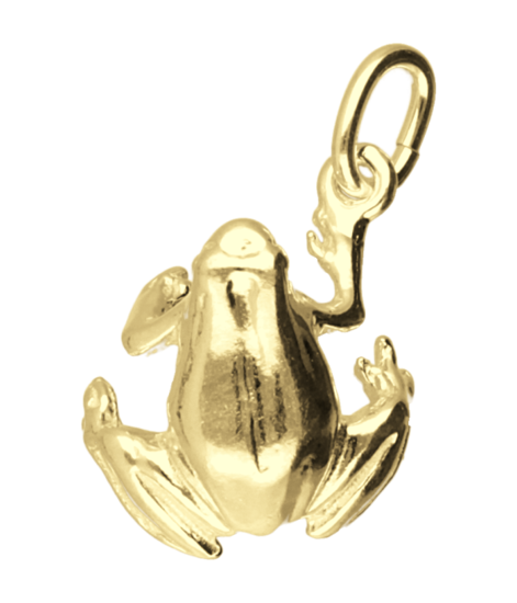 Gouden Kikker ketting hanger
