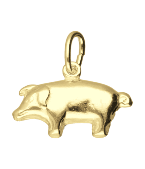 Gouden Varken klein ketting hanger