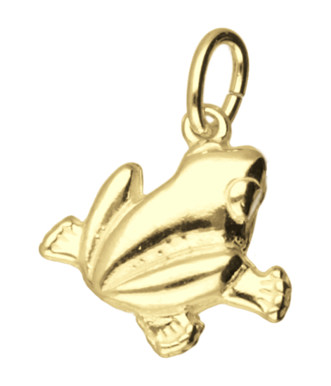 Gouden Kikker 2  ketting hanger