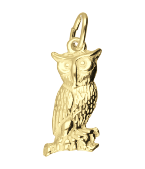 Gouden Uil  ketting hanger