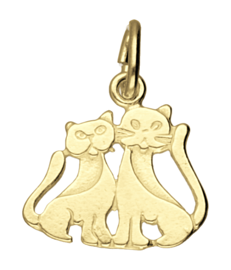 Gouden Poesjes ketting hanger