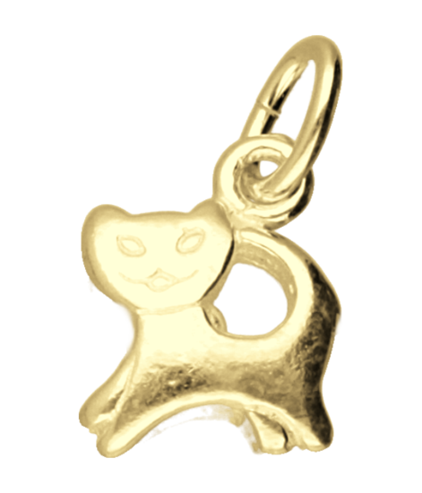 Gouden Poesje ketting hanger