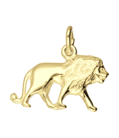 Gouden Leeuw ketting hanger
