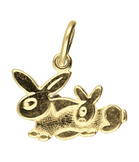 Gouden Konijnen ketting hanger