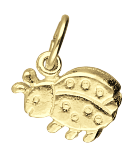 Golden Ladybug Necklace Pendant