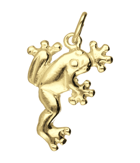 Gouden Kikker ketting hanger