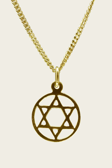 Gouden Davidster in ring ketting hanger