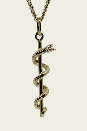 Gouden Esculaap ketting hanger