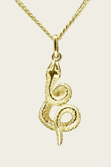 Golden Snake Chain Pendant