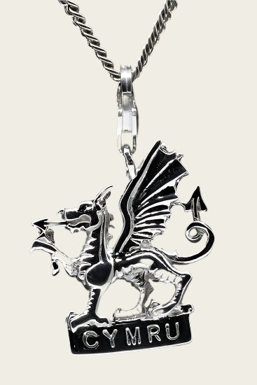 Zilveren Cymru Wales hanger en/of bedel
