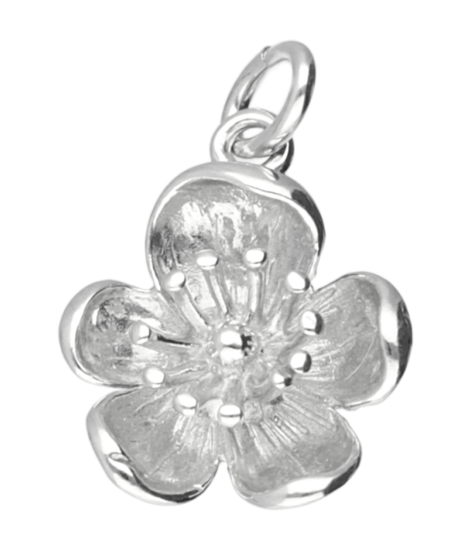 Zilveren Boterbloem ketting hanger