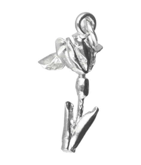Zilveren Iris ketting hanger