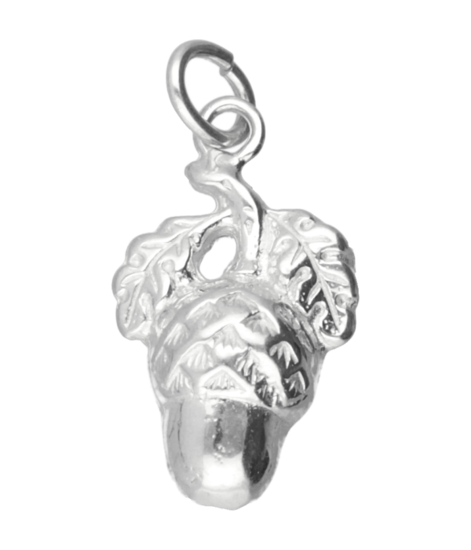 Zilveren Eikel met blad ketting hanger
