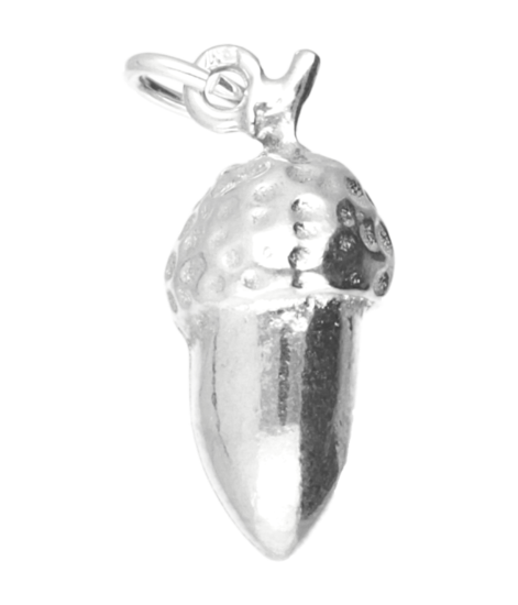 Zilveren Eikel middel ketting hanger