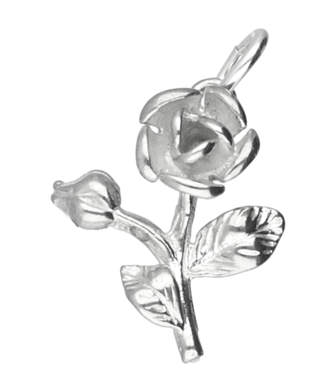 Zilveren Roos met tak ketting hanger
