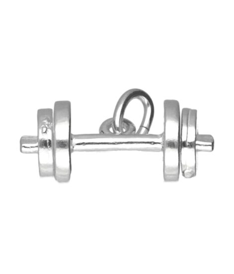 Zilveren Halter ketting hanger - losse schijven