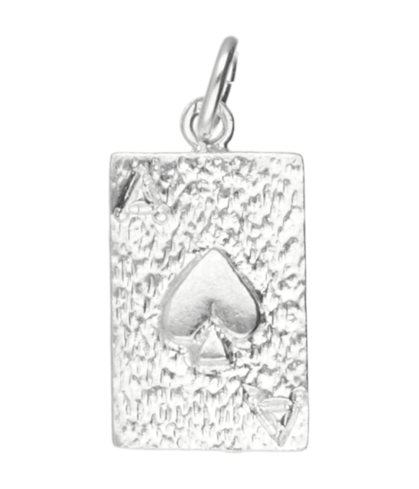 Zilveren Schoppen Aas ketting hanger