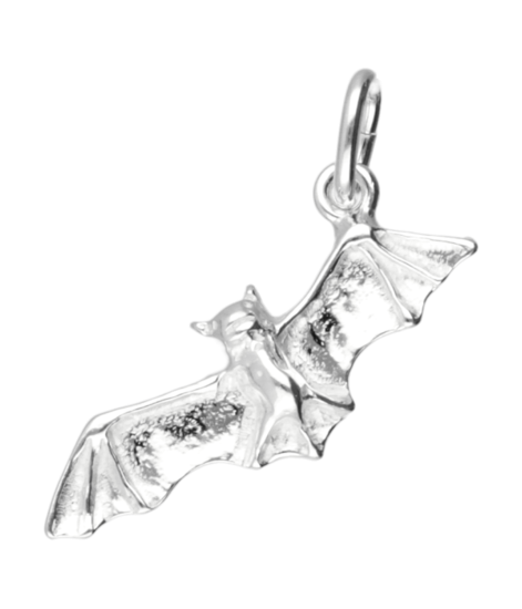 Zilveren Vleermuis ketting hanger