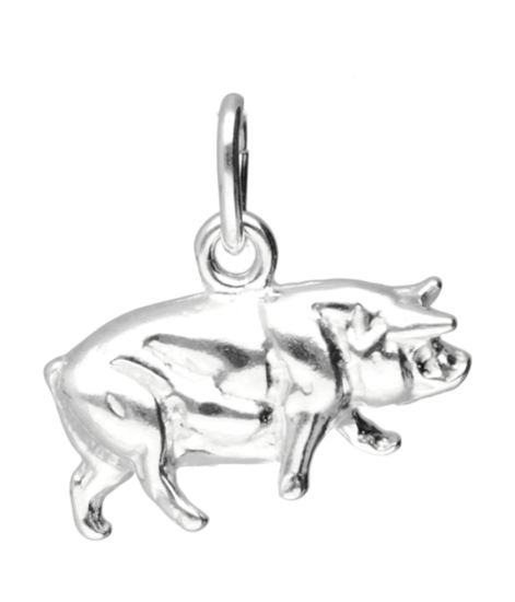 Zilveren Varken ketting hanger