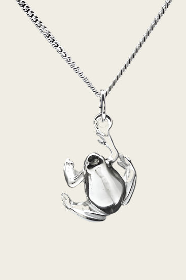 Zilveren Kikker ketting hanger