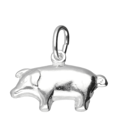 Zilveren Varken ketting hanger - klein