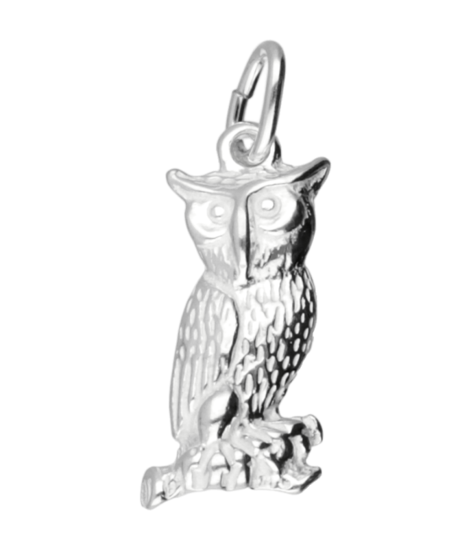 Zilveren Uil ketting hanger