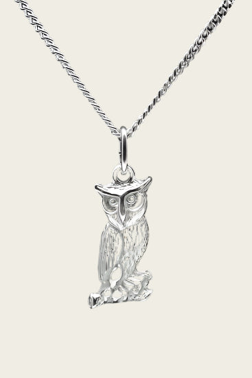 Zilveren Uil ketting hanger