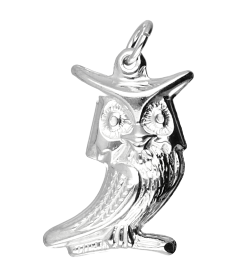 Zilveren Uil ketting hanger