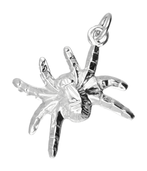 Silver Spider Necklace Pendant