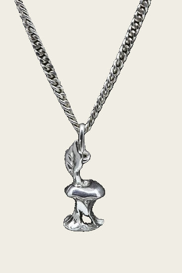 Zilveren Appel klokhuis ketting hanger