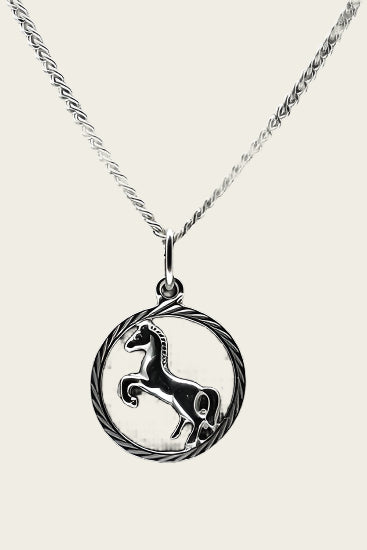 Zilveren Paard ketting hanger - in rand