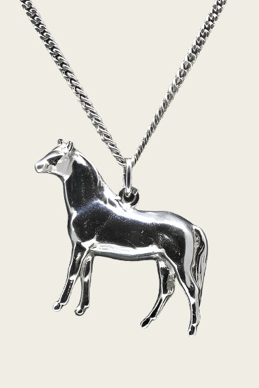 Zilveren Arabier massief groot ketting hanger