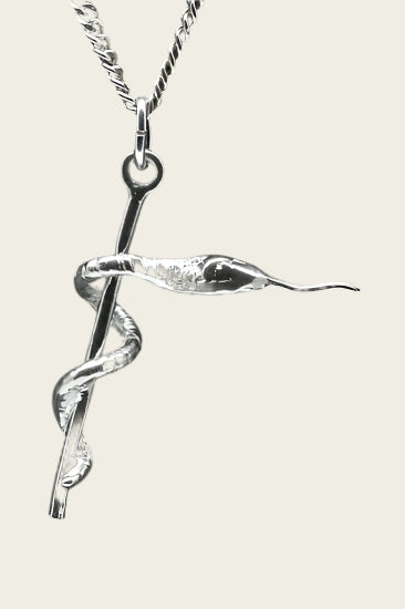 Silver Aesculapius necklace pendant
