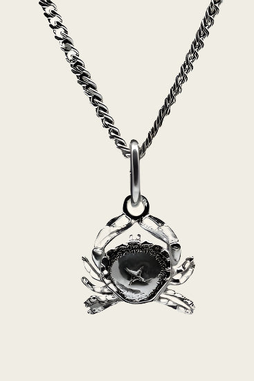 Zilveren Sterrenbeeld Kreeft ketting hanger - klein