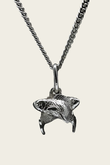 Zilveren Sterrenbeeld Vissen ketting hanger - klein