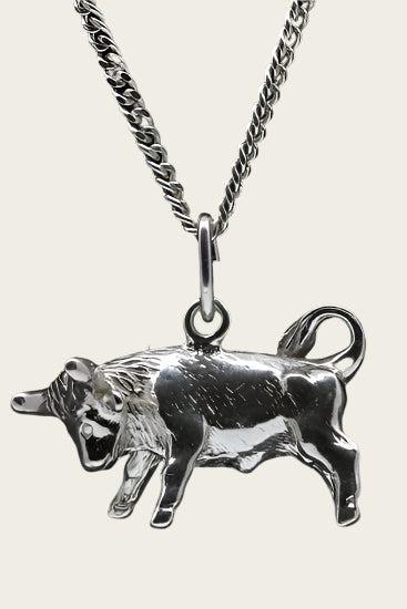 Zilveren Sterrenbeeld Stier ketting hanger - groot
