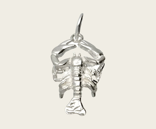 Zilveren Sterrenbeeld Kreeft ketting hanger - groot
