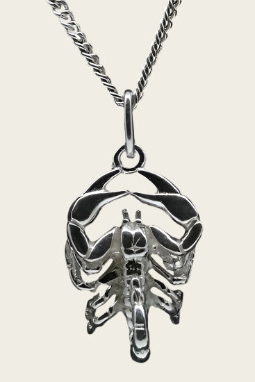 Zilveren Sterrenbeeld Schorpioen ketting hanger - groot
