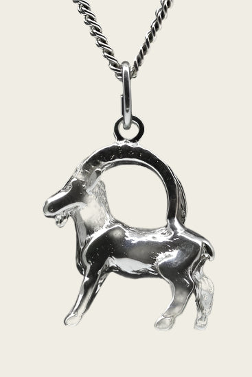 Silver Capricorn Zodiac Sign Necklace Pendant - Large