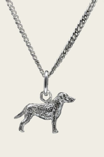 Zilveren Curly coated retriever ketting hanger - klein