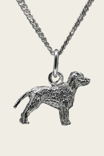 Zilveren Irish water spaniel ketting hanger - klein